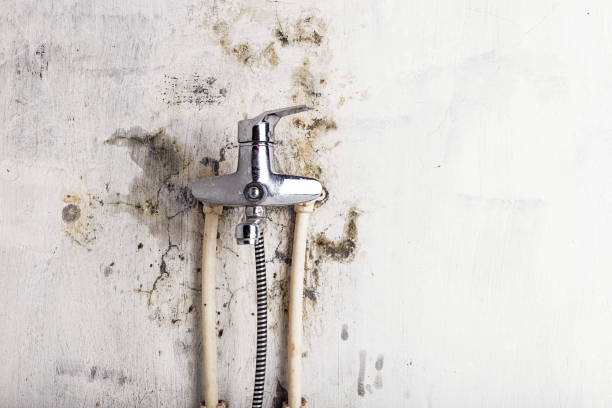  New Bedford, MA Mold Removal Pros